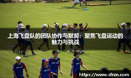 上海飞盘队的团队协作与默契：聚焦飞盘运动的魅力与挑战